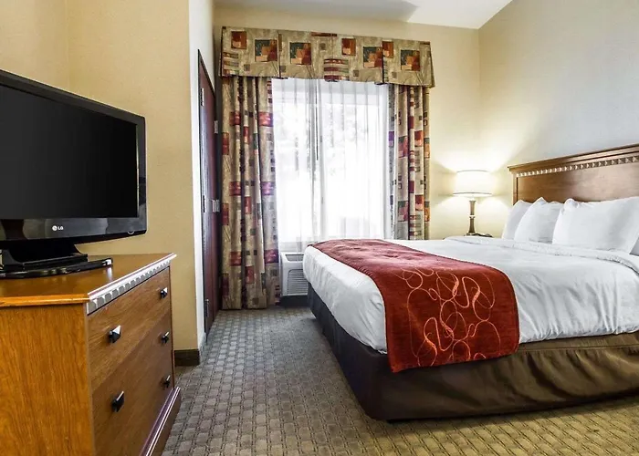 Comfort Hotel